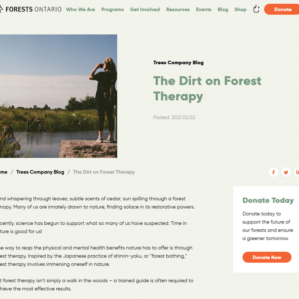 The Dirt on Forest Therapy