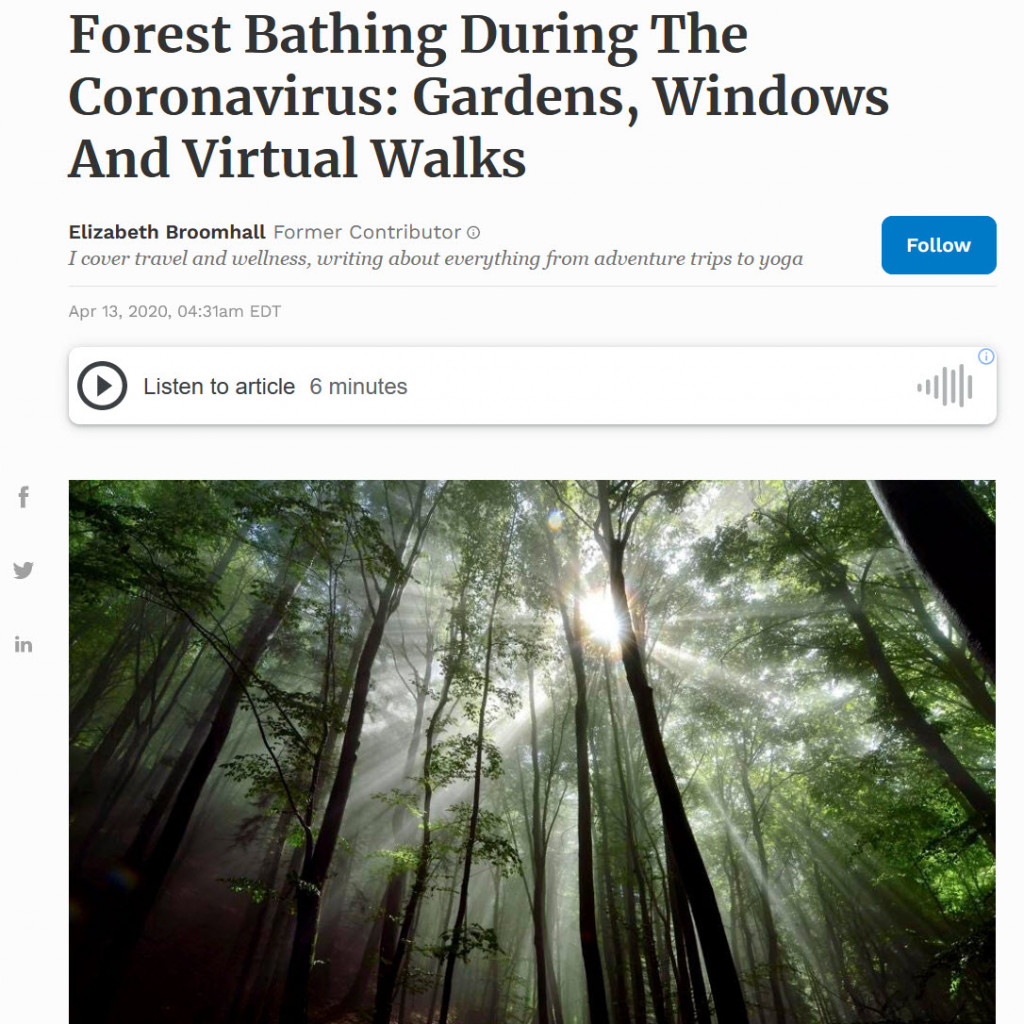 Forest Bathing During The Coronavirus: Gardens, Windows And Virtual Walks