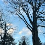 Rise and Shine Walk
