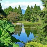 Multisensory Nature Immersion at VanDusen Botanical Garden