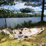 Forest Bathing for Families as part of the Lakes & Trails Festival