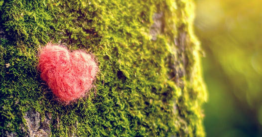 Ontario Guides Gathering