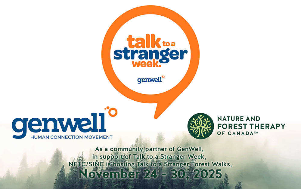 Walk With a Stranger Guided Walk