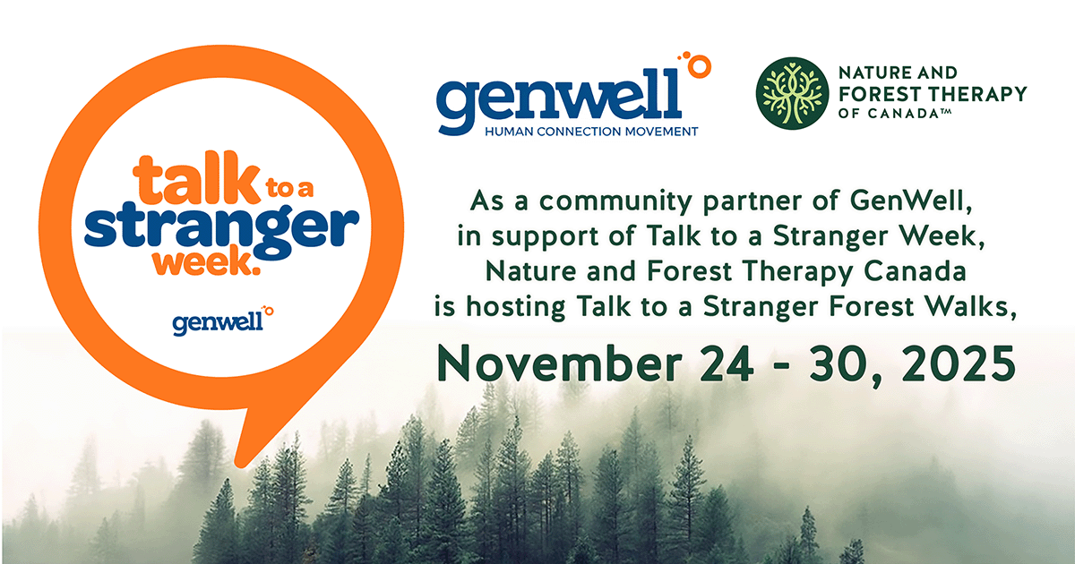 Talking to a Stranger Forest Walk