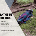 Sit Spot Club at Camosun Bog in Pacific Spirit Regional Park (Free)