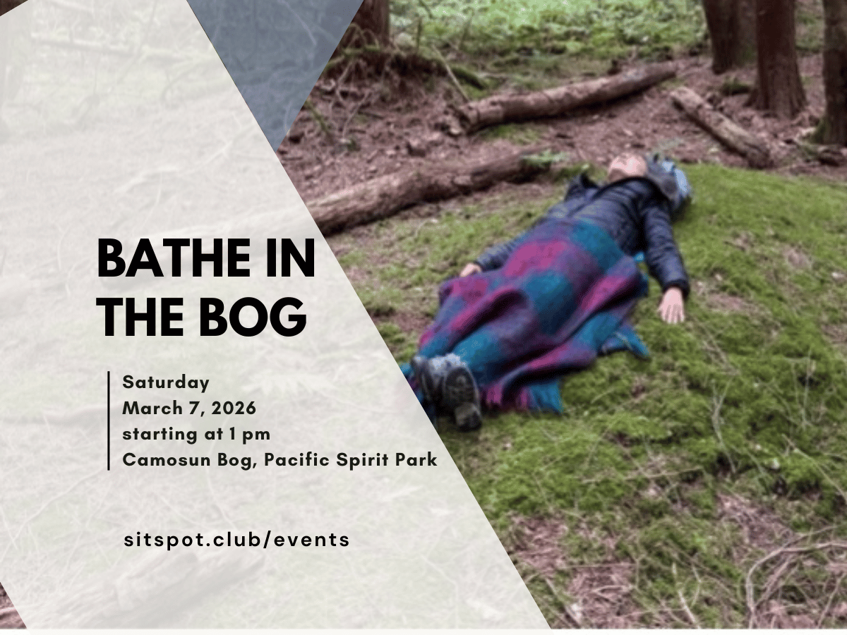 Sit Spot Club at Camosun Bog in Pacific Spirit Regional Park (Free)
