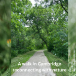 Forest Bathing in Cambridge
