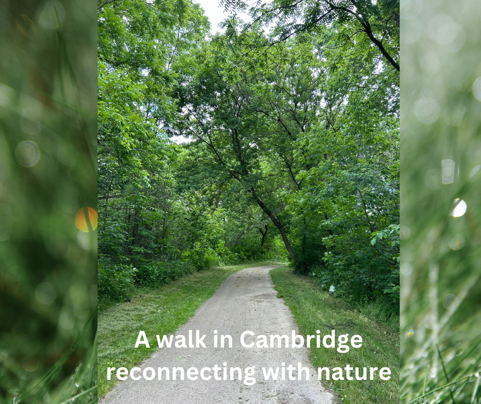 Forest Bathing in Cambridge