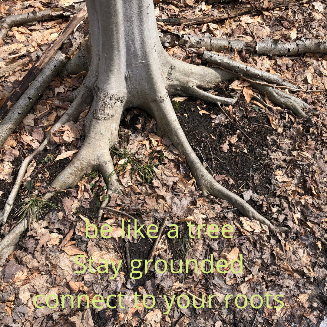 Forest Bathing in Nature