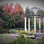 Forest Therapy at Whistling Gardens