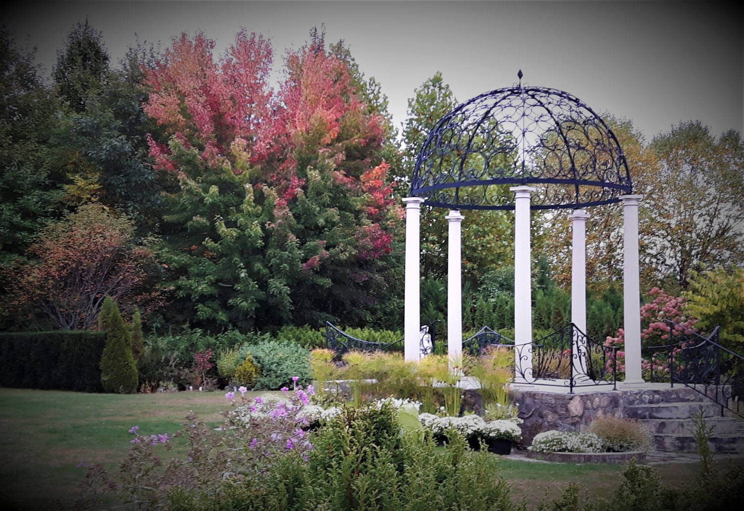 Forest Therapy at Whistling Gardens