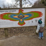 Mountsberg Conservation Area